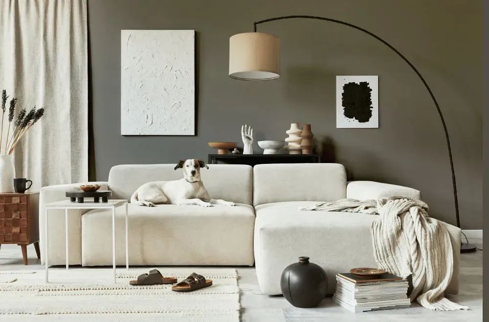 Sherwin Williams Settlement cozy living room