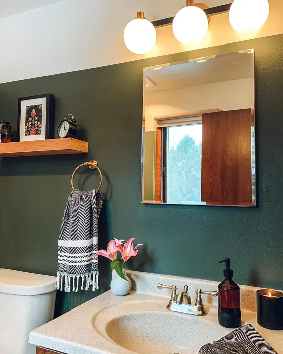 SW Shade-Grown bathroom paint review