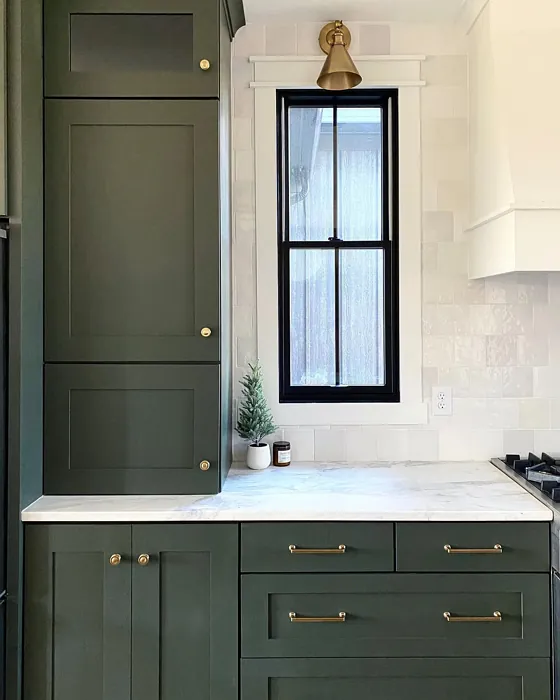 SW Shade-Grown kitchen cabinets paint