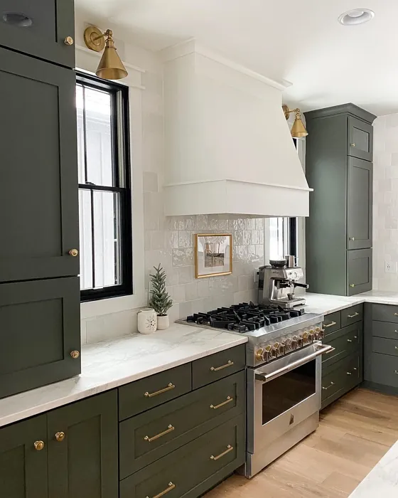 Shade-Grown kitchen cabinets color