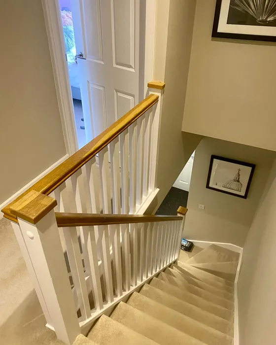 Dulux Knotted Twine stairs picture