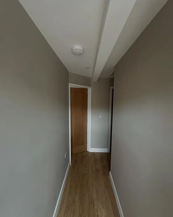 Dulux Knotted Twine hallway photo