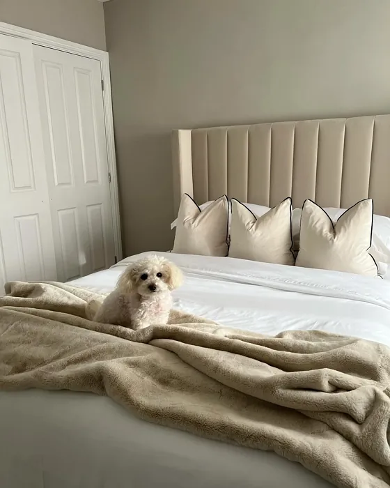 Dulux Knotted Twine bedroom color review