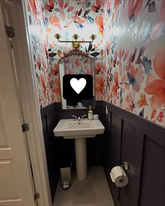 Benjamin Moore Shadow bathroom wall panelling color