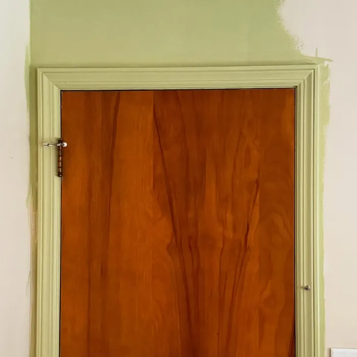 SW Shagreen wall paint makeover SW Shagreen wall paint makeover