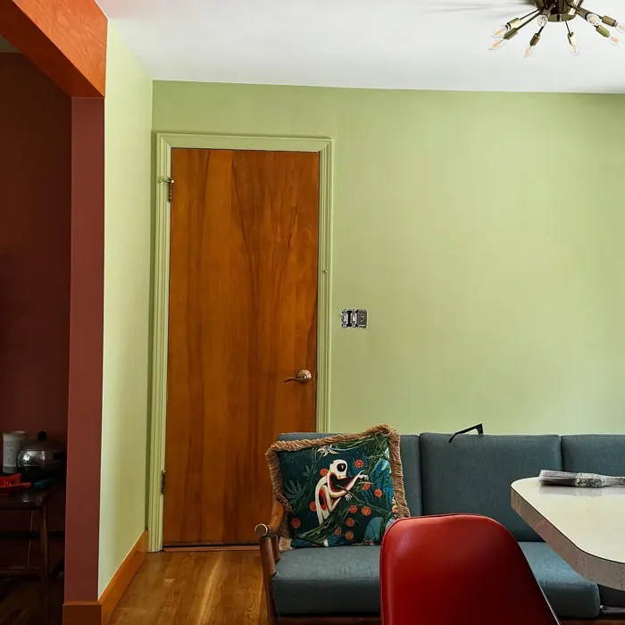 Sherwin Williams Shagreen wall paint Sherwin Williams Shagreen wall paint