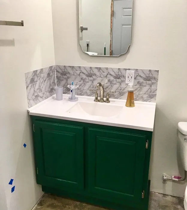 Sherwin Williams Shamrock Bathroom Vanity
