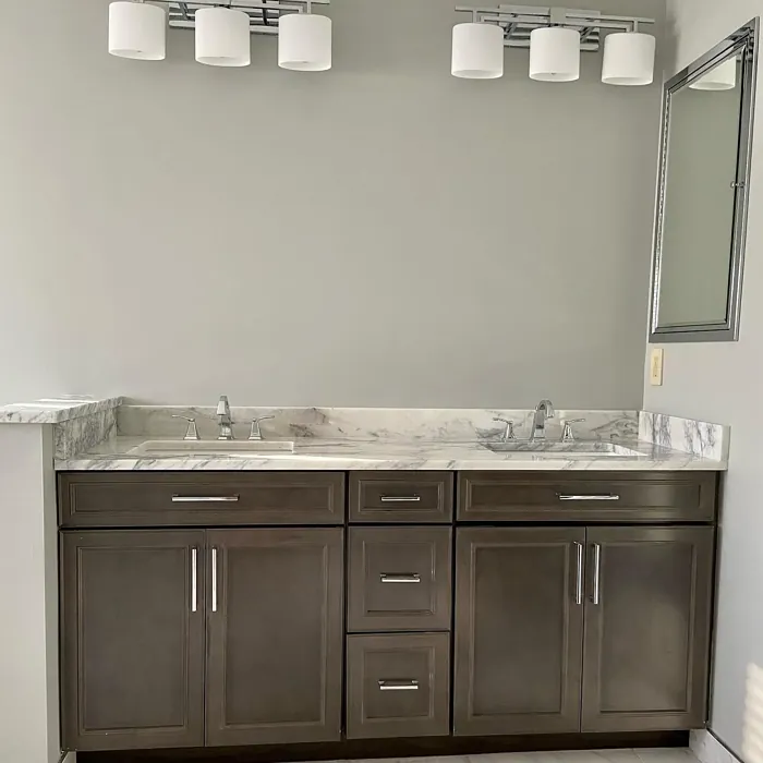 SW 7065 bathroom color review