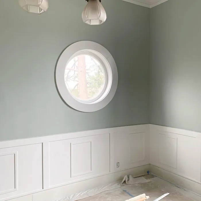 Light gray walls interior SW6205 color review