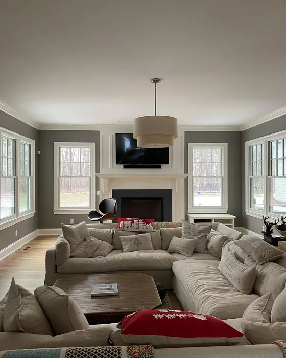 Sherwin Williams Dovetail living room interior