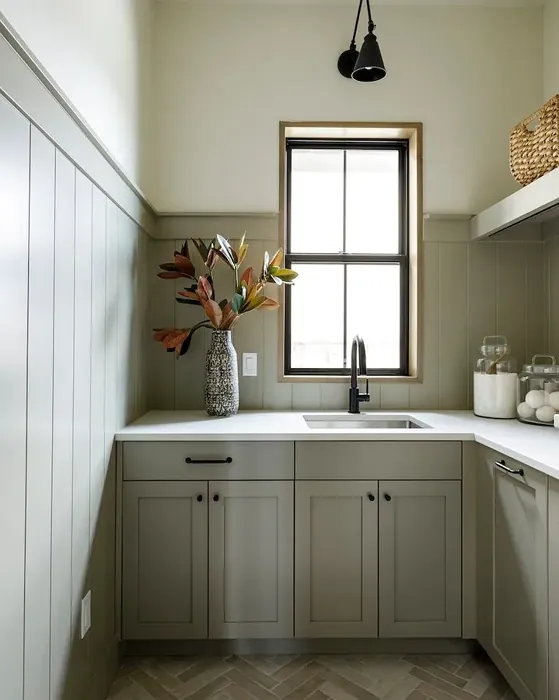 SW Fawn Brindle kitchen cabinets paint
