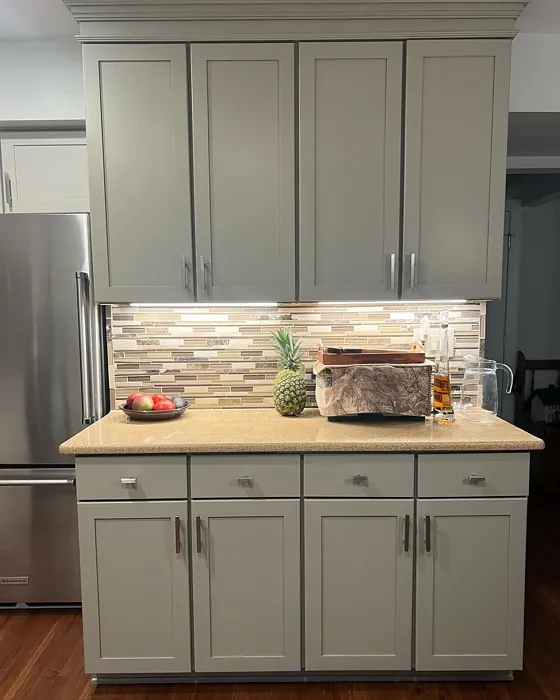 Sherwin Williams Fawn Brindle kitchen cabinets color