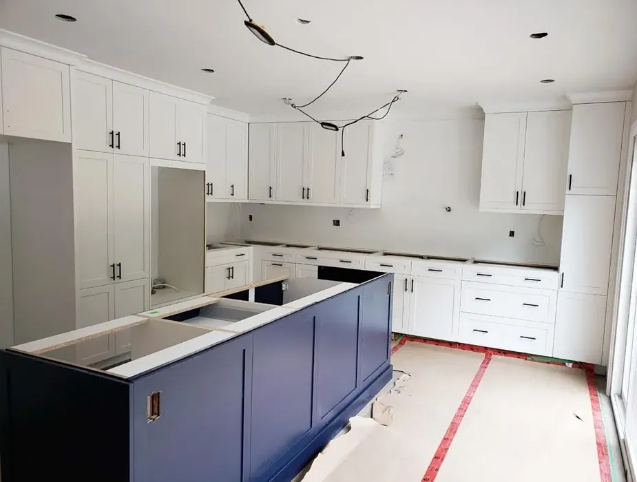 Sherwin Williams Naval kitchen cabinets paint review