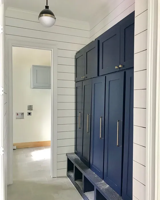 Sherwin Williams Naval painted storage paint review