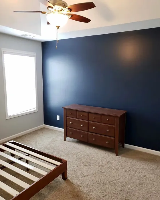 Sw Naval Accent Wall