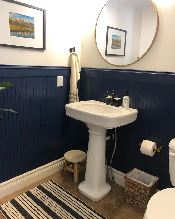 Sherwin Williams Naval bathroom color