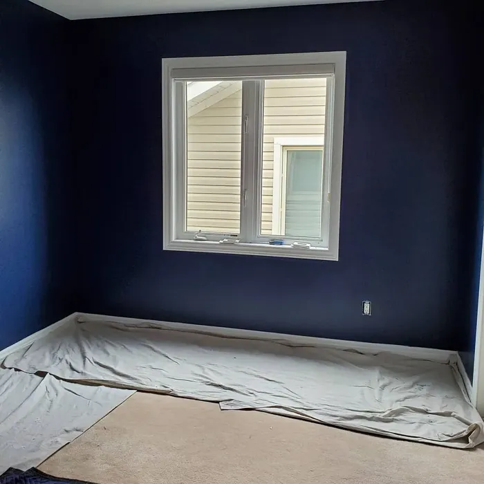 Sherwin Williams Naval bedroom color