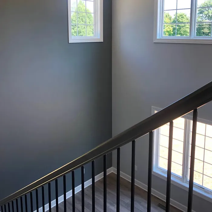 Sherwin Williams Passive hallway color