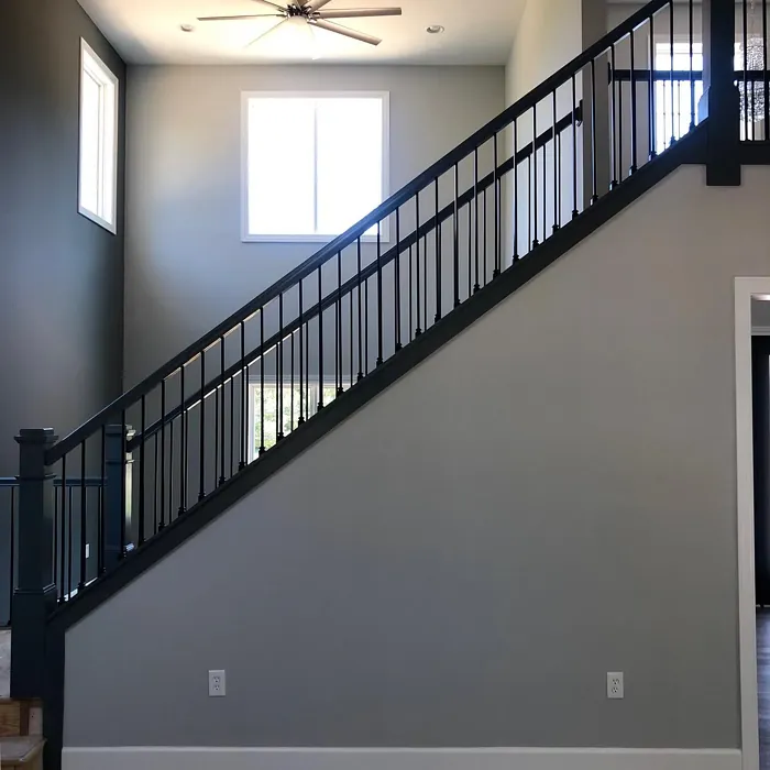 Sherwin Williams Passive stairs color