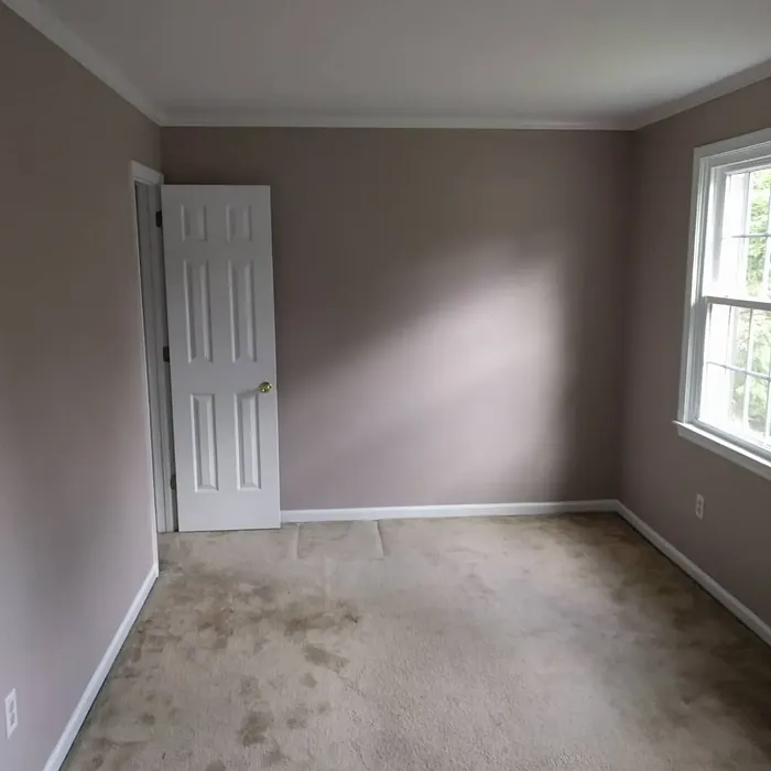 SW Temperate Taupe wall paint makeover