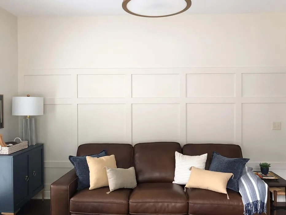 SW 7010 living room inspiration