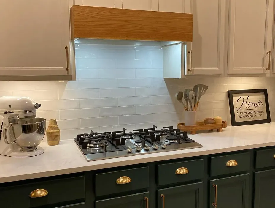 SW White Duck kitchen cabinets 