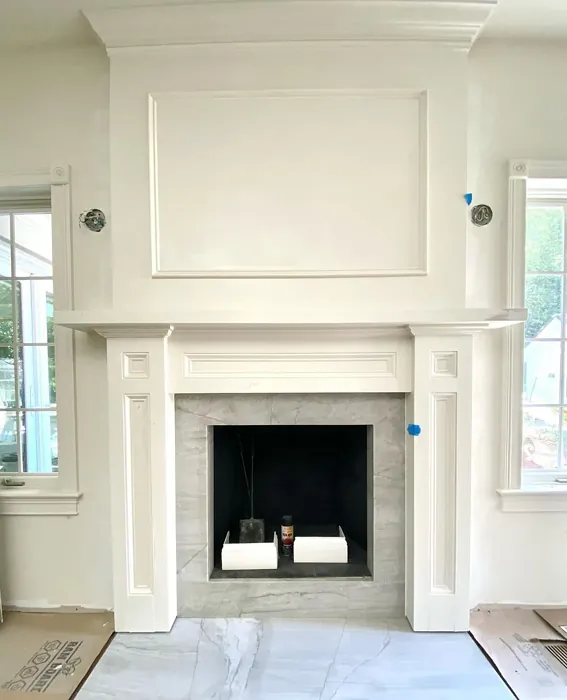 SW White Duck living room fireplace 