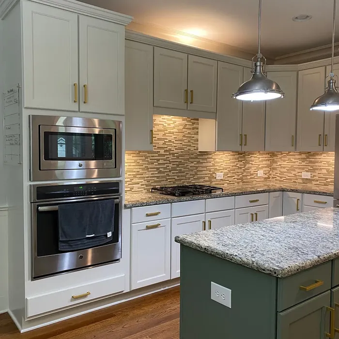 SW 7042 kitchen cabinets color review