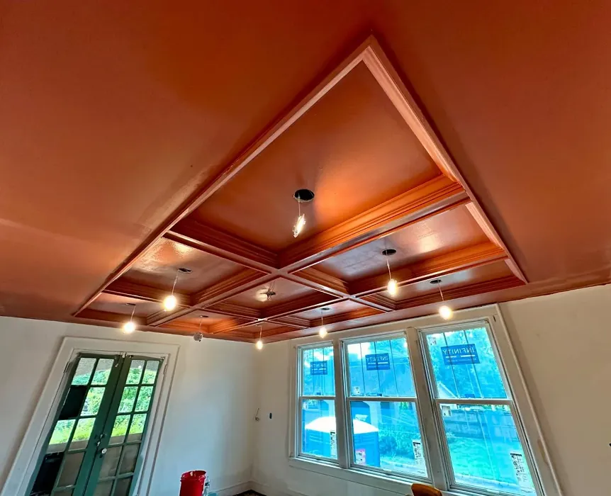 Sherwin Williams Sierra Redwood ceiling color