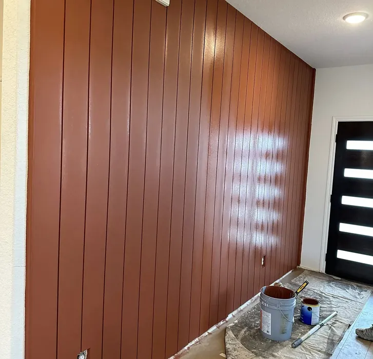 Sherwin Williams Sierra Redwood accent wall 