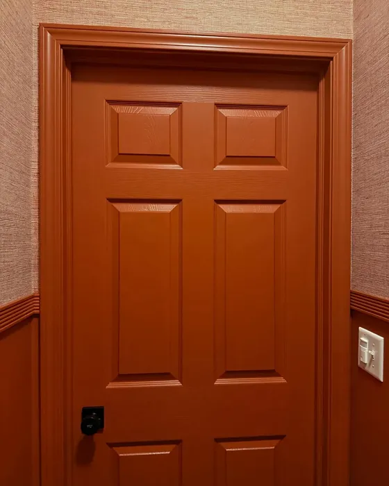 Sherwin Williams Sierra Redwood door color review