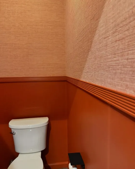 Sherwin Williams Sierra Redwood bathroom 