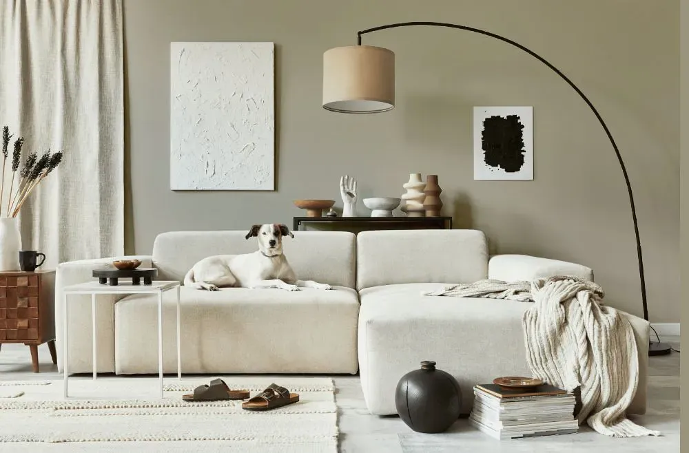 Sherwin Williams Silver Gray cozy living room