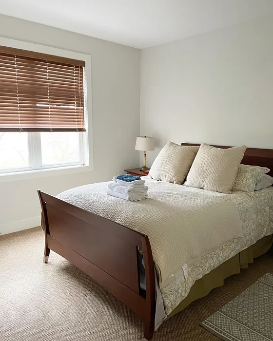 Benjamin Moore Silver Satin bedroom color