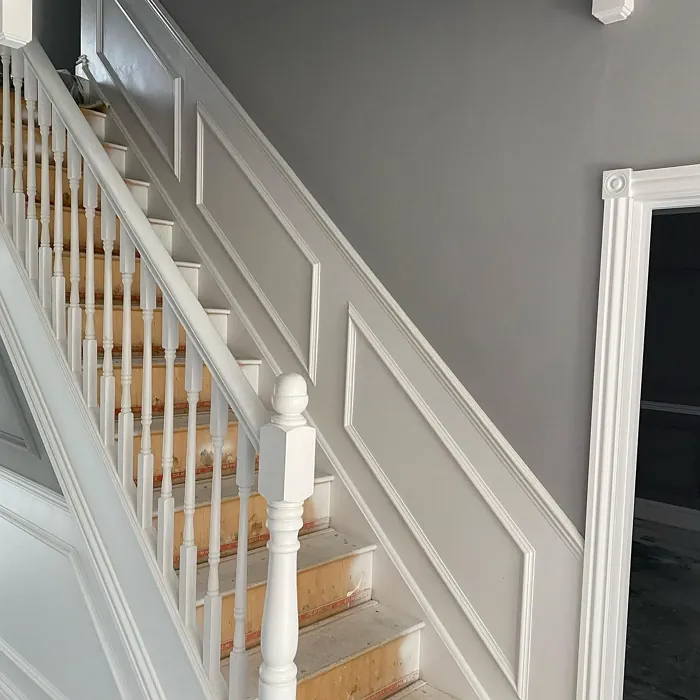Dulux Silver Shores stairs color