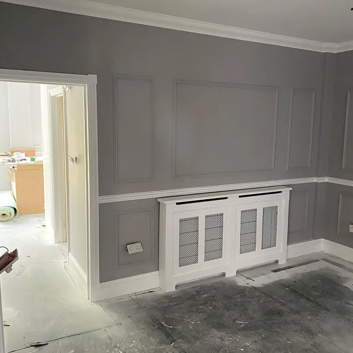 Dulux Silver Shores wall paint color review