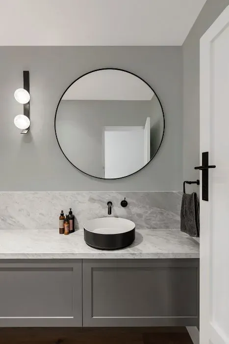 Sherwin Williams Silver Tipped Sage minimalist bathroom