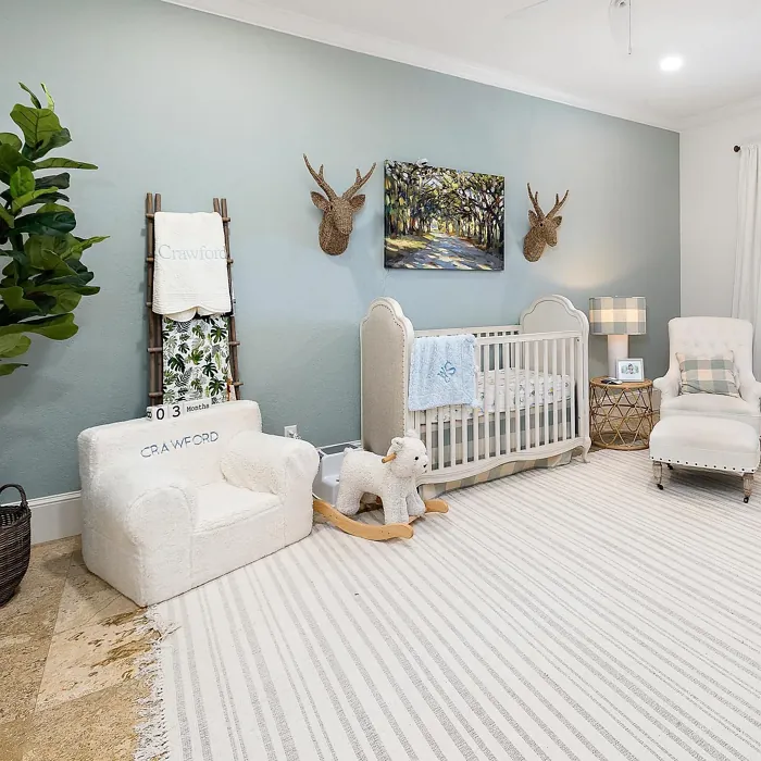 SW Silvermist nursery color