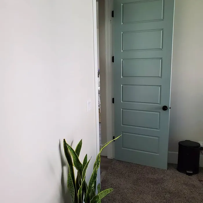 Silvermist Door
