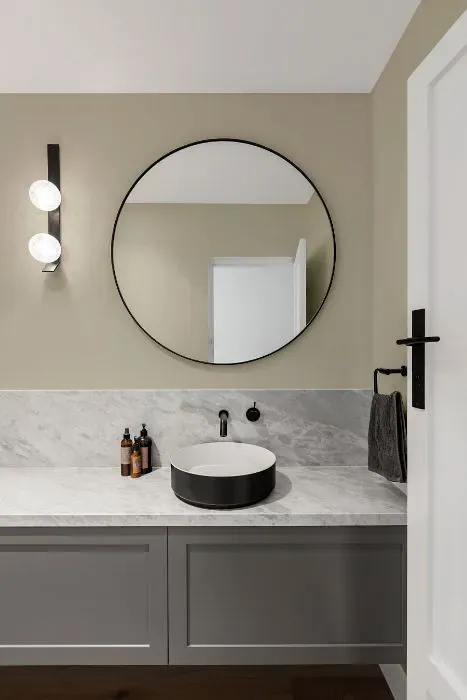 Sherwin Williams Simple Stone minimalist bathroom
