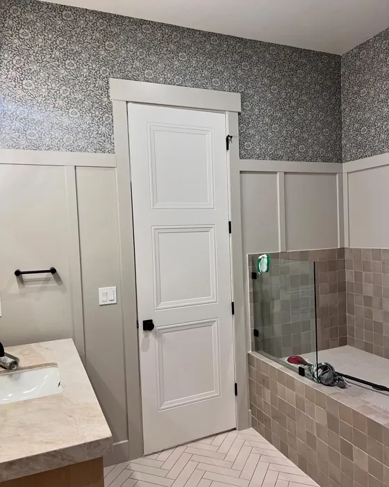 SW Skyline Steel bathroom color