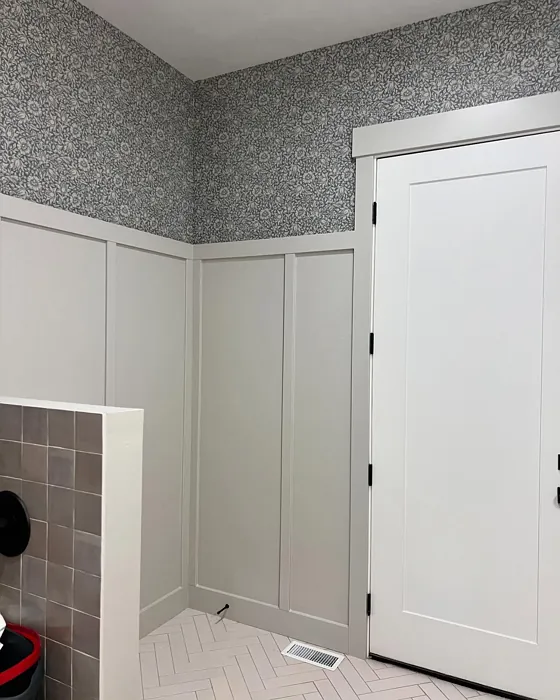 SW Skyline Steel bathroom color review