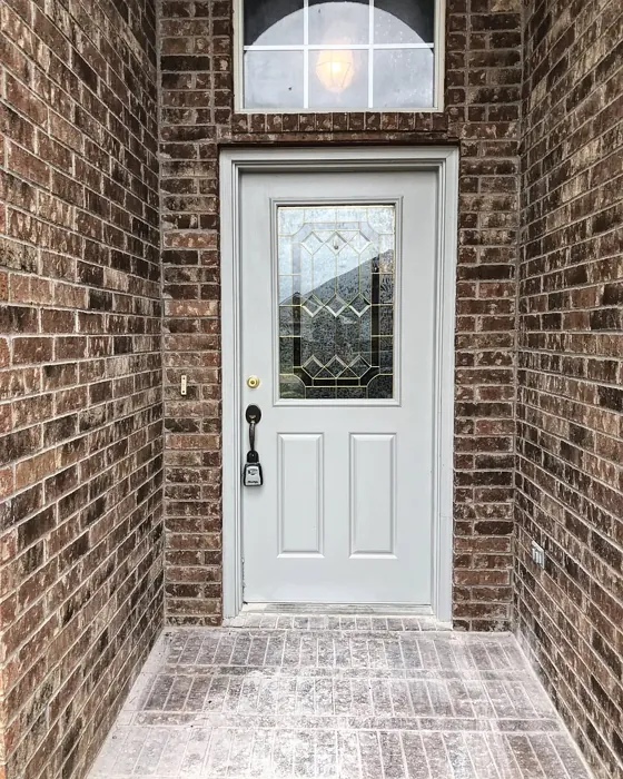 SW Skyline Steel front door color