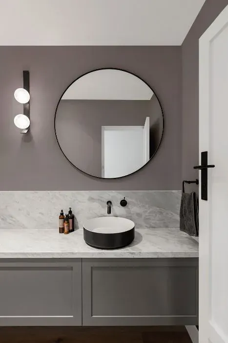 Sherwin Williams Slate Violet minimalist bathroom