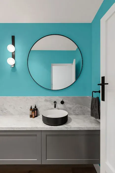 Sherwin Williams Slick Blue minimalist bathroom