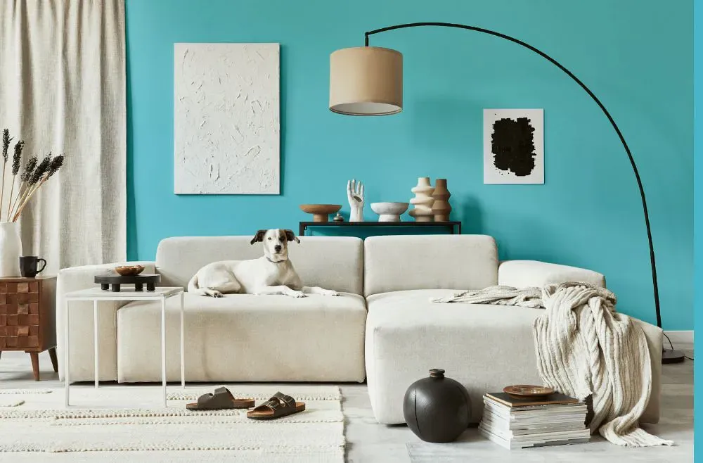 Sherwin Williams Slick Blue cozy living room