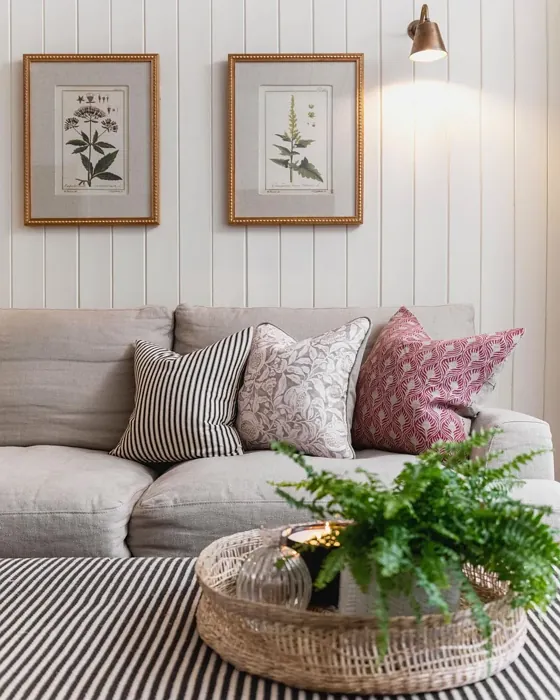 Slipper Satin living room color review