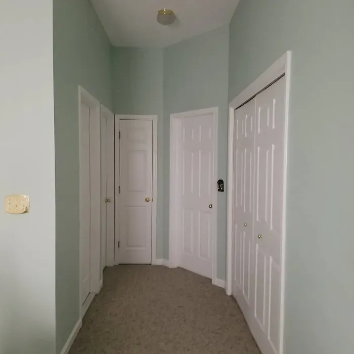 SW Slow Green hallway review