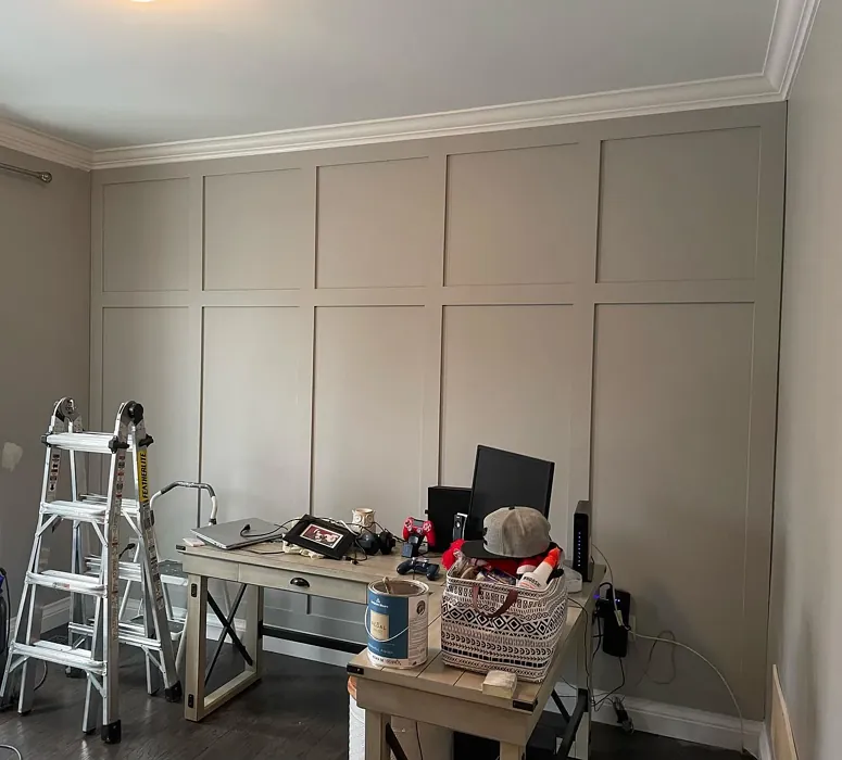 1466 Accent Wall Panelling
