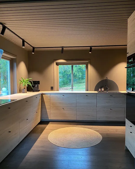 Jotun Smoked Oak kitchen color review